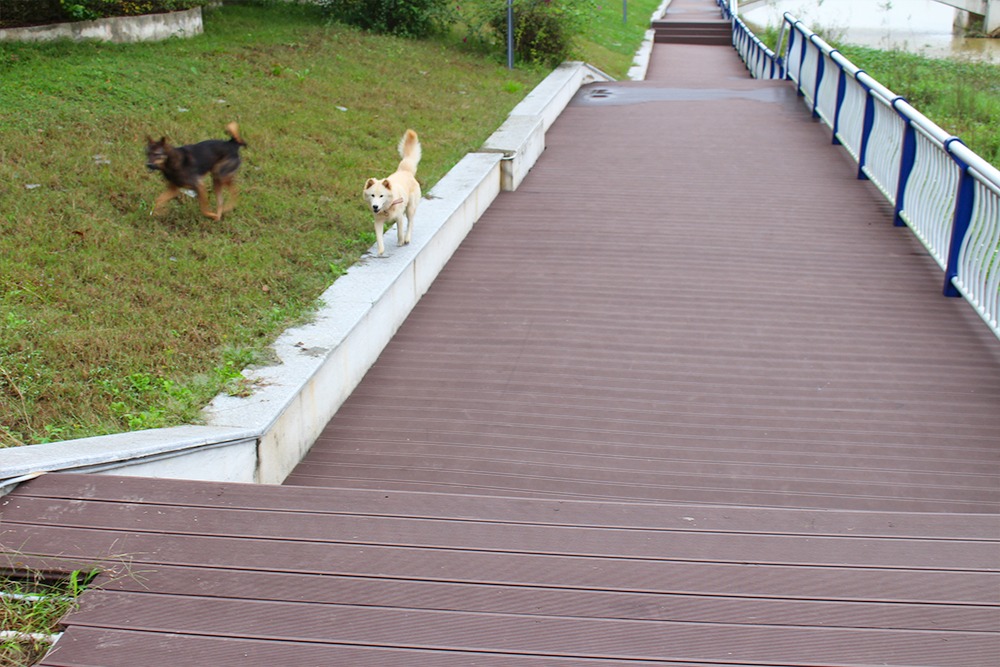 WPC-Terrassendielen für die Terrasse